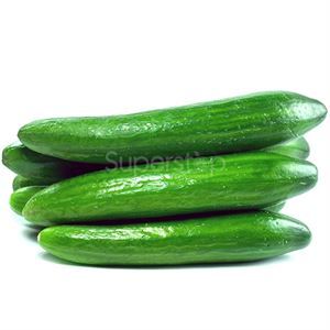 Cucumbers, Persian