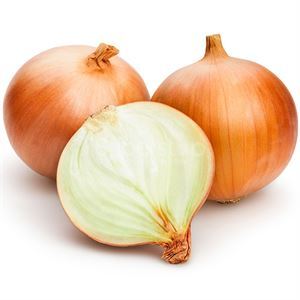Onions, Spanish