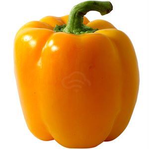 Peppers Yellow