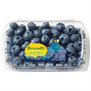 Jumbo Blueberries, 11 Oz